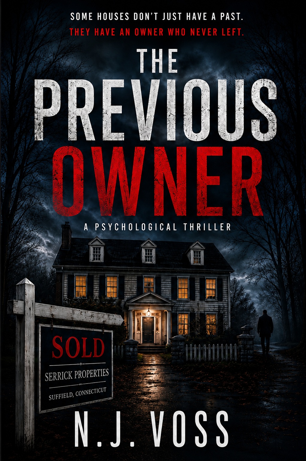 Cover of The Previous Owner by N.J. Voss